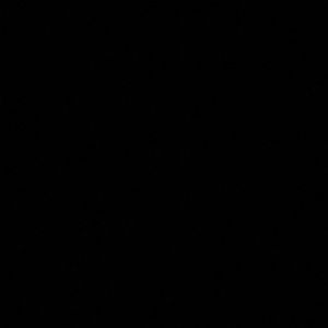 Meet your Posher, Faith